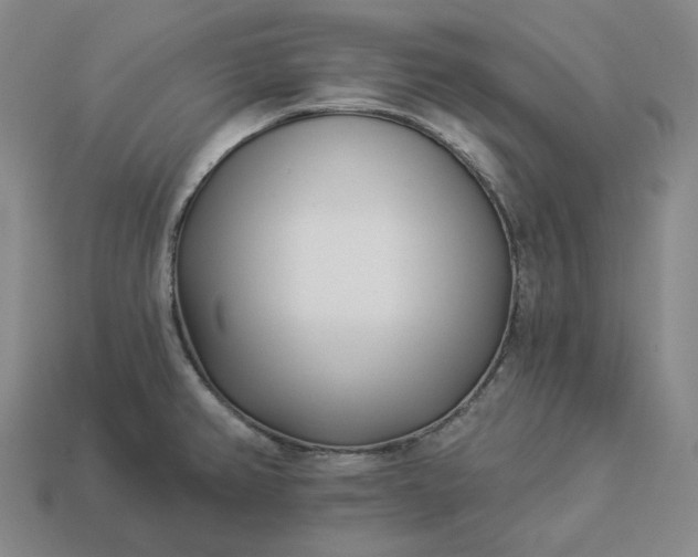 X0000112941382200909071045