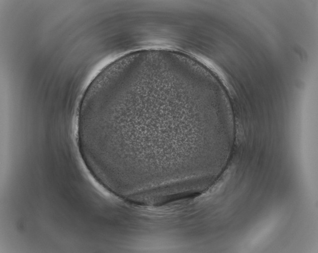 X0000112941383200909071045