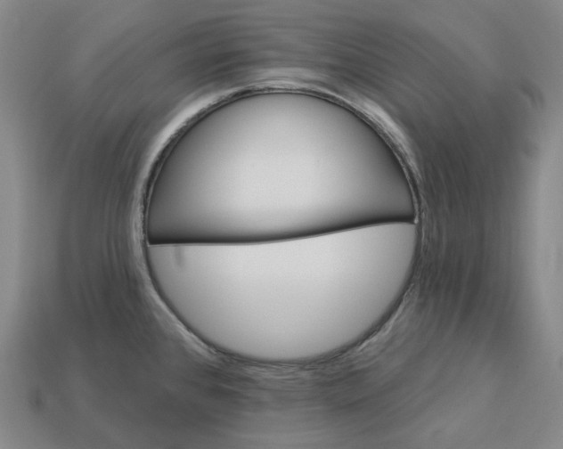 X0000112941384200909071045