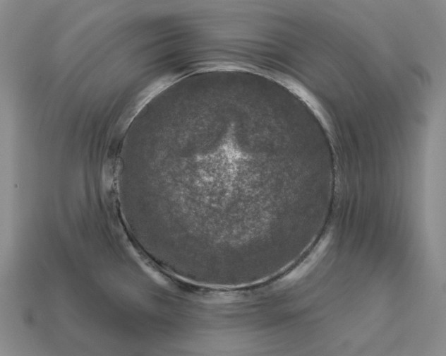 X0000112941385200909071045