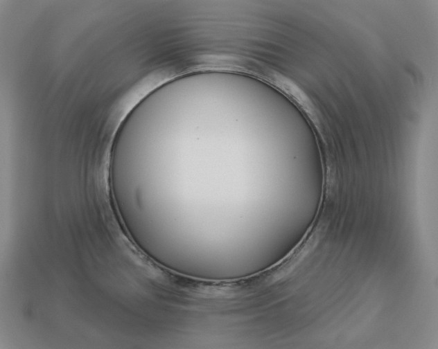 X0000112941386200909071045