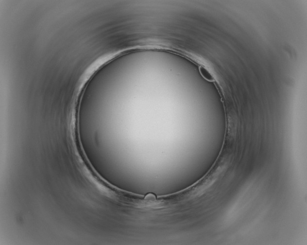 X0000112941387200909071045