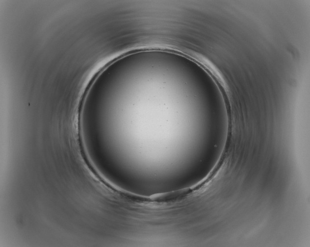 X0000112941388200909071045