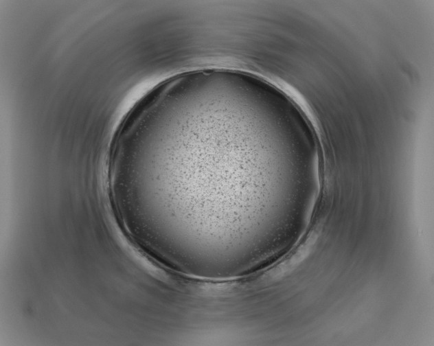 X0000112941389200909071045