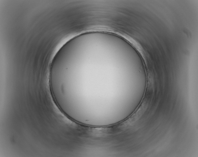 X0000112941390200909071045