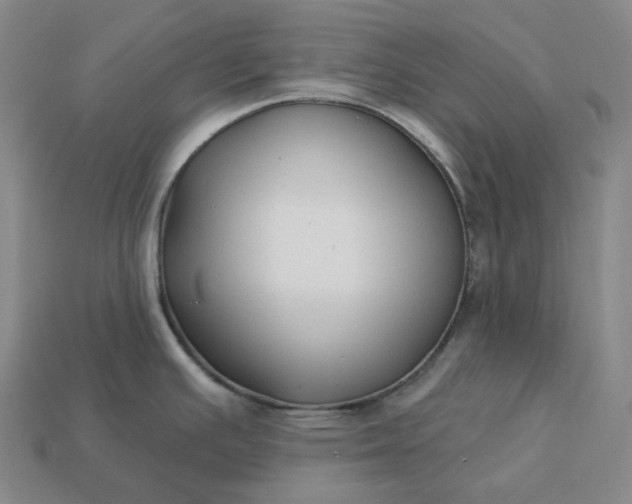 X0000112941391200909071045