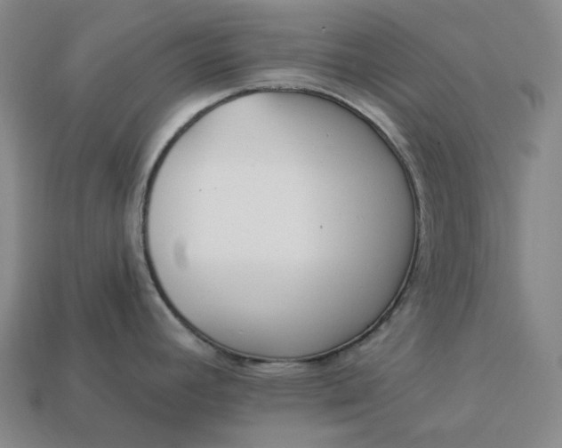 X0000112941392200909071045