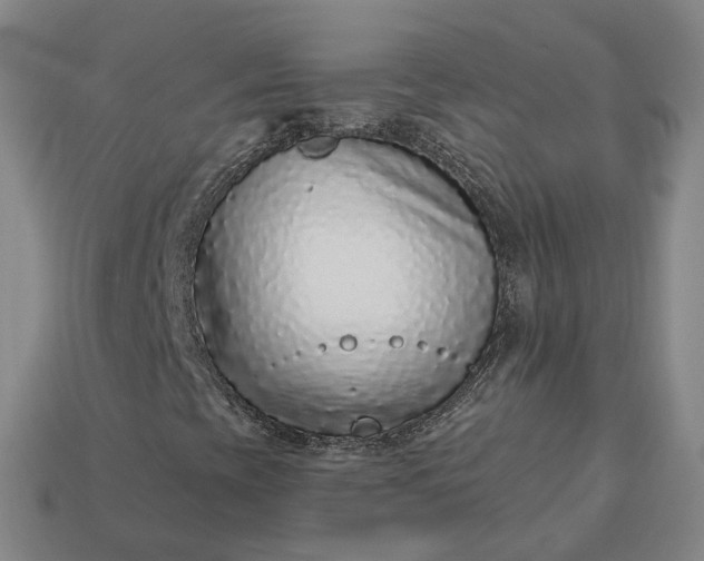 X0000112941393200909071044