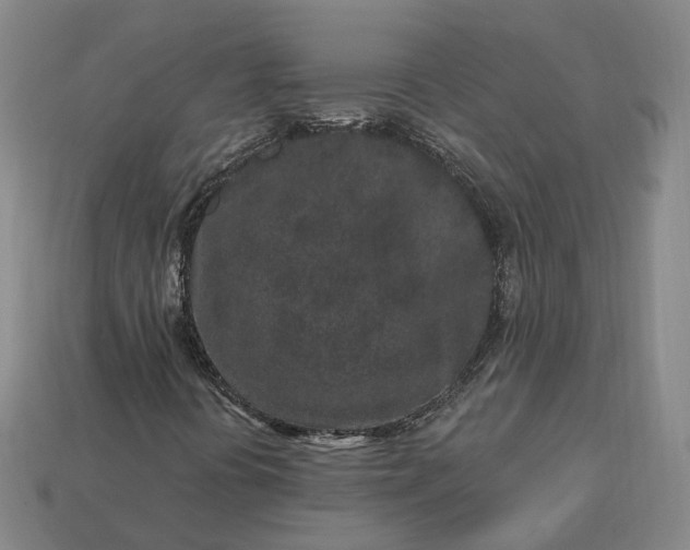 X0000112941394200909071044