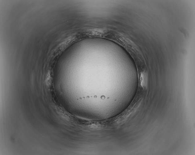 X0000112941395200909071044