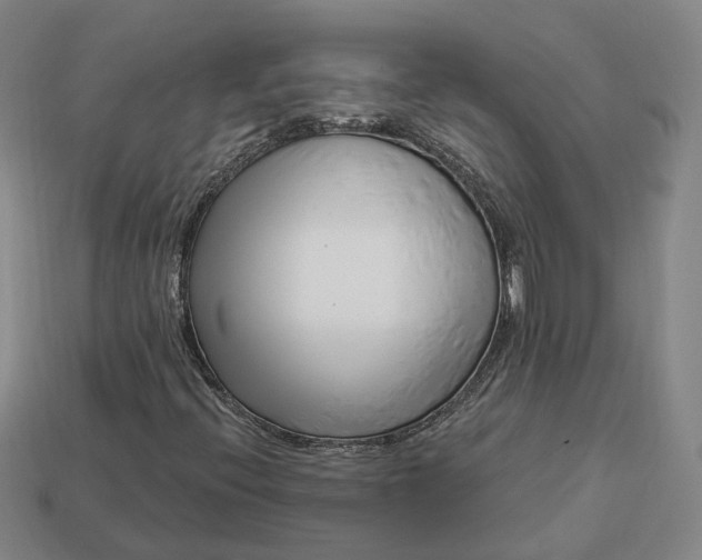 X0000112941396200909071044