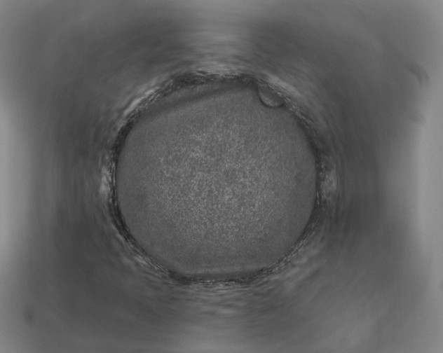 X0000112941397200909071044