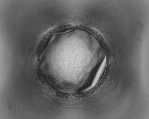 X0000112941398200909071044