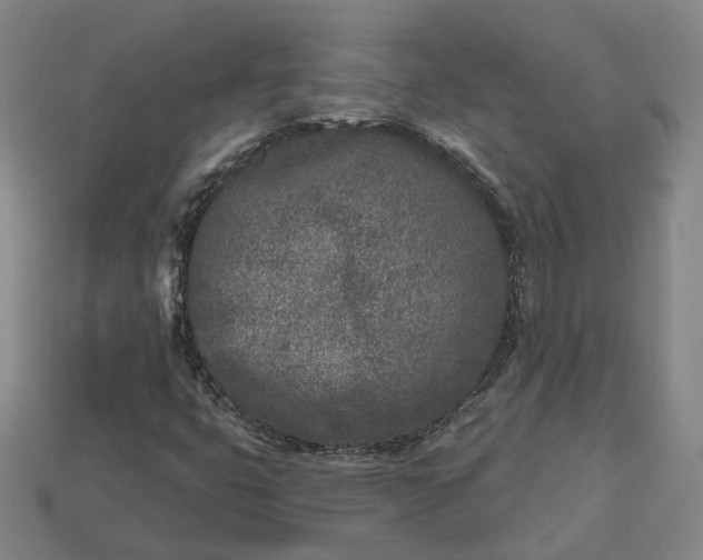 X0000112941399200909071044