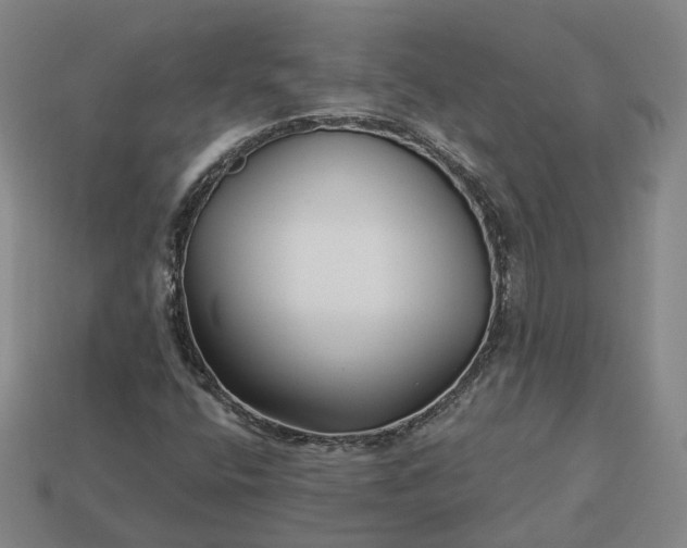 X0000112941400200909071045