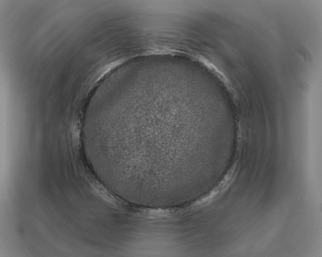 X0000112941401200909071045