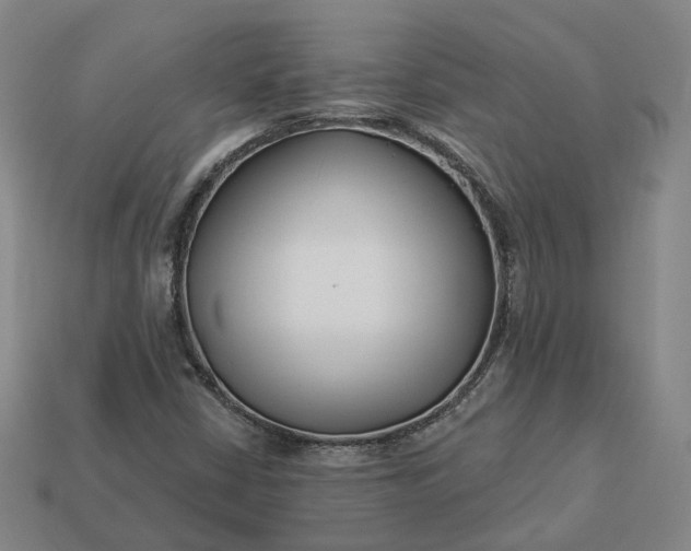 X0000112941402200909071045