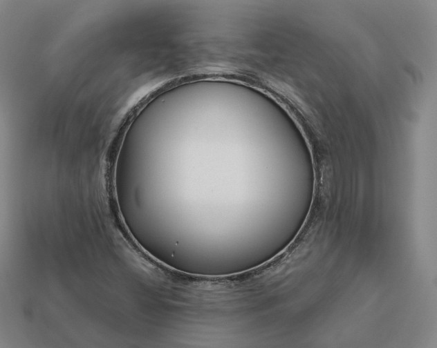 X0000112941404200909071045