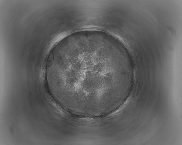 X0000112941405200909071045