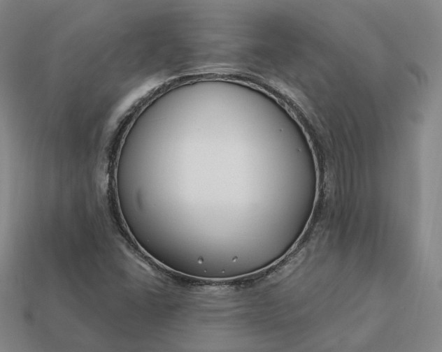 X0000112941406200909071045