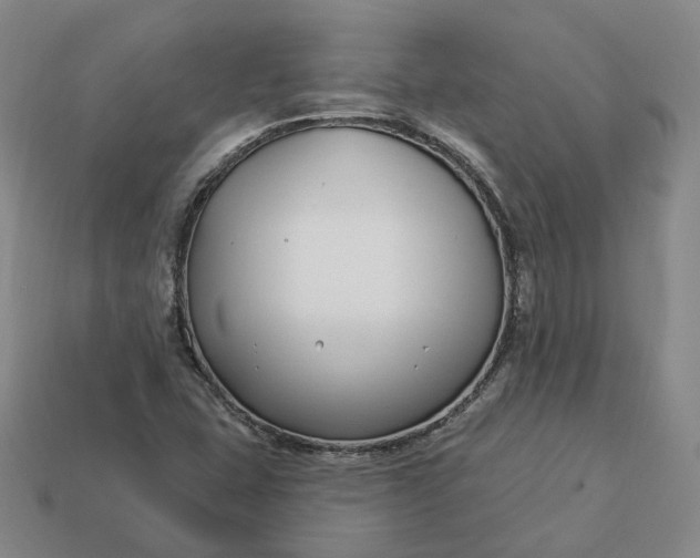 X0000112941407200909071045