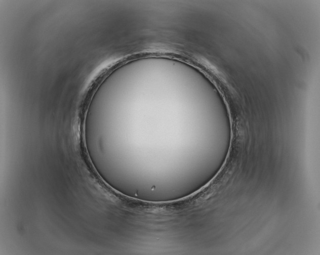 X0000112941408200909071045