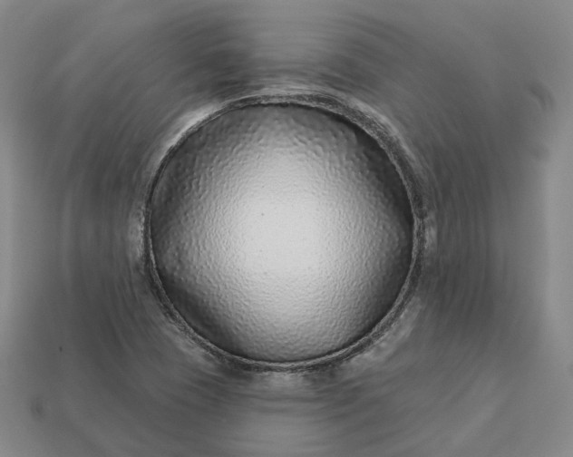 X0000112941409200909071045