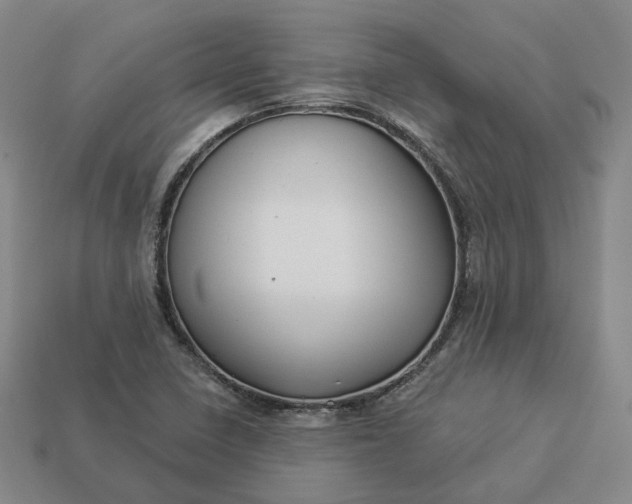 X0000112941410200909071045