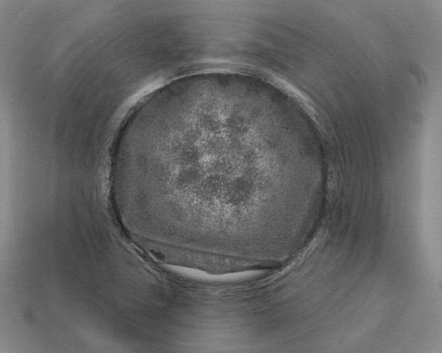 X0000112941411200909071045