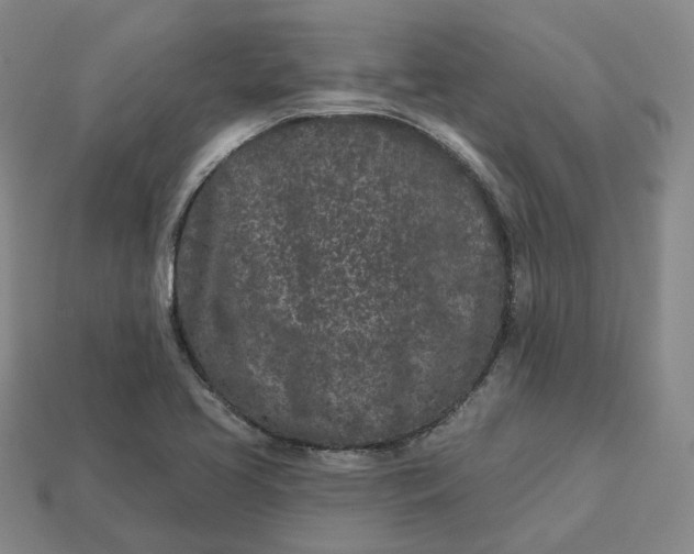 X0000112941413200909071045