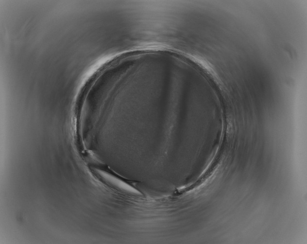 X0000112941414200909071045