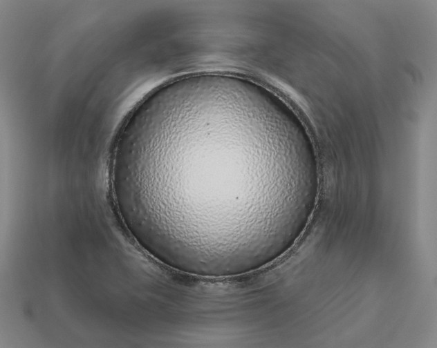 X0000112941415200909071045