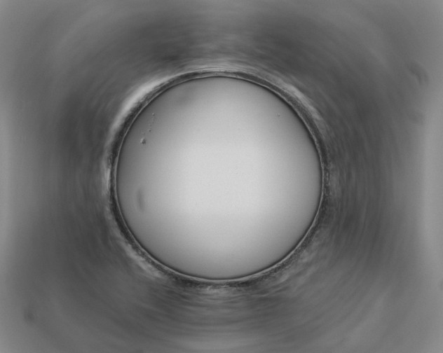 X0000112941416200909071045