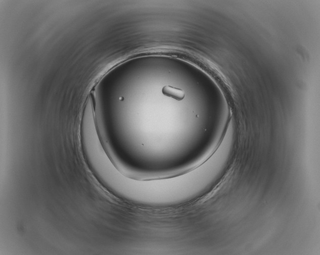 X0000112941417200909071045