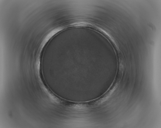 X0000112941418200909071045