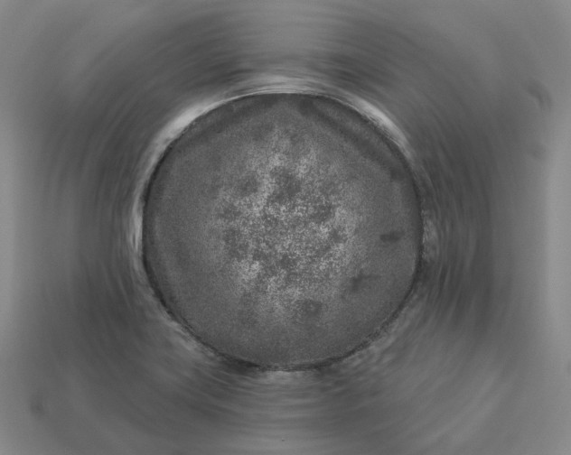 X0000112941419200909071045