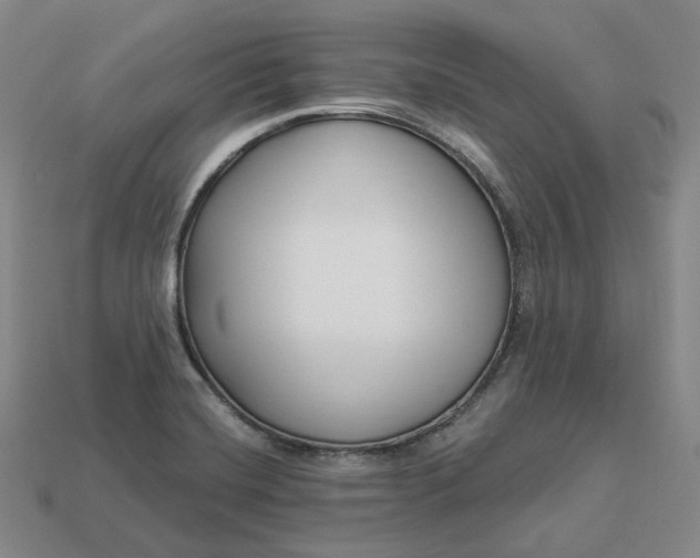 X0000112941420200909071045