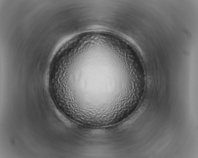 X0000112941421200909071045