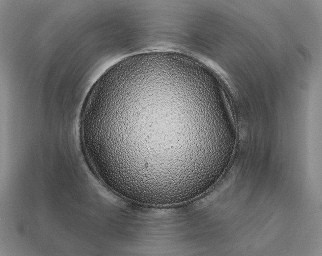 X0000112941423200909071045