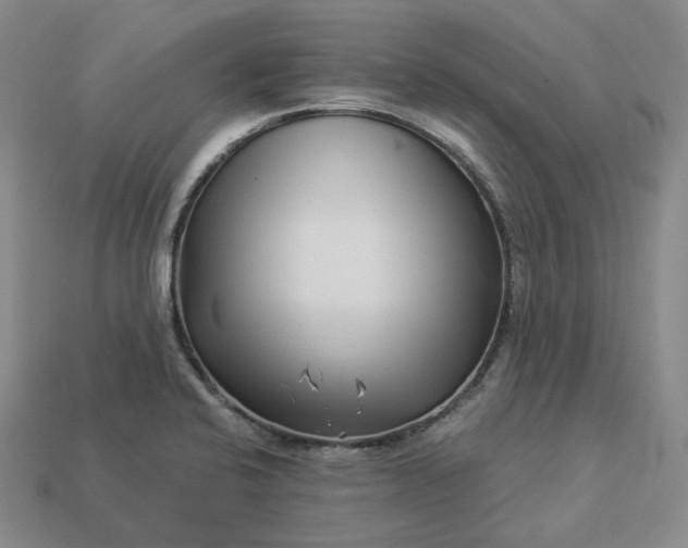 X0000112941424200909071045