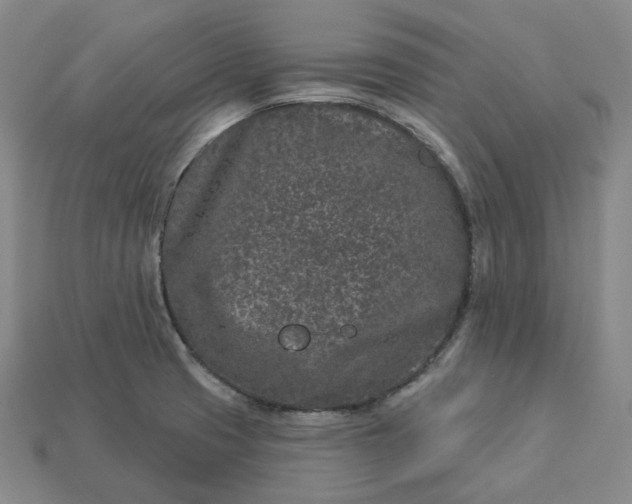 X0000112941425200909071045