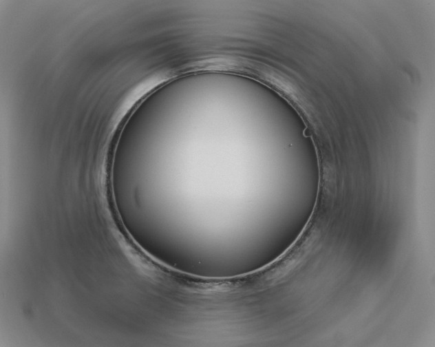 X0000112941426200909071045