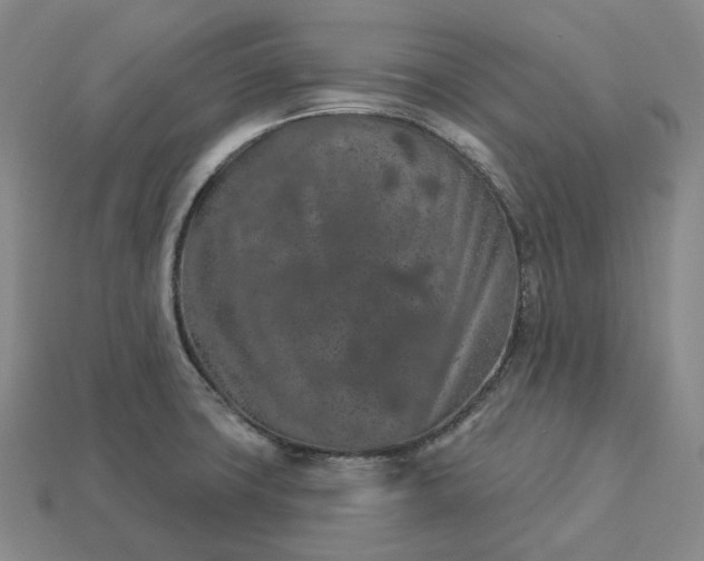 X0000112941427200909071045