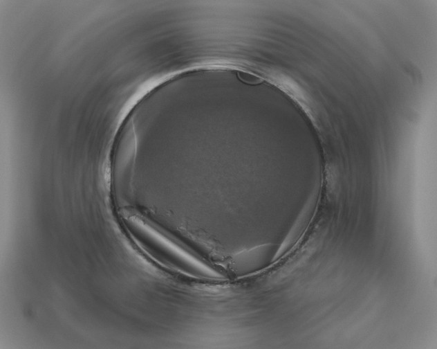 X0000112941428200909071045