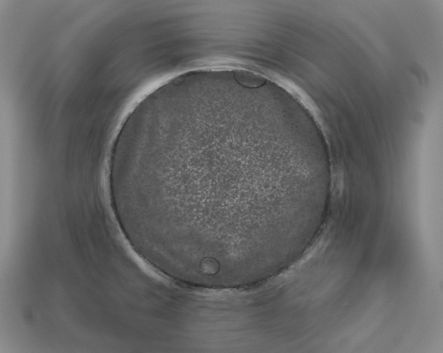 X0000112941429200909071045