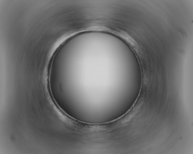 X0000112941430200909071045