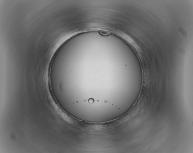 X0000112941431200909071045