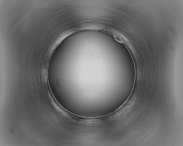 X0000112941433200909071045