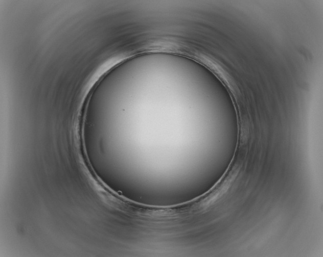 X0000112941434200909071045