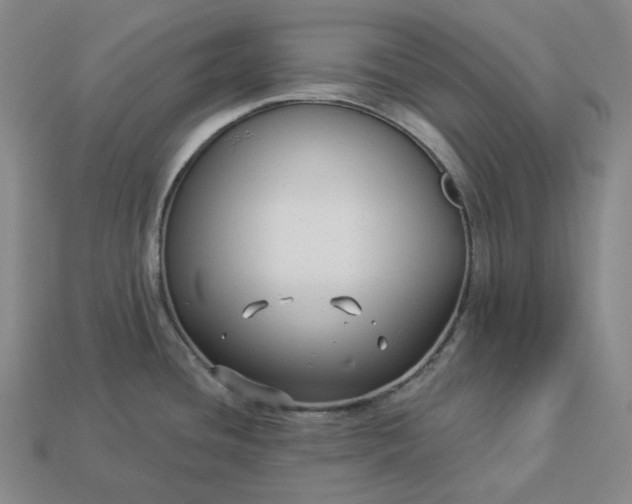 X0000112941436200909071045